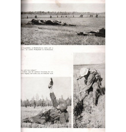 *Nos divisions à l'est*