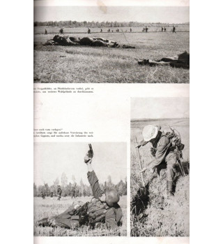 *Nos divisions à l'est*