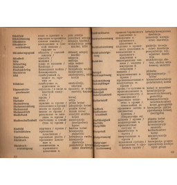 *Kleines deutsch-russiches Medizinisches Wörterbuch*