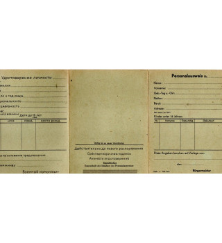 *Carte d'identité vierge*