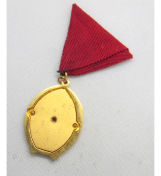 *Goldene Arbeitsmedaille *