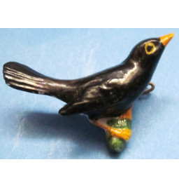 *Amsel Schwarz*
