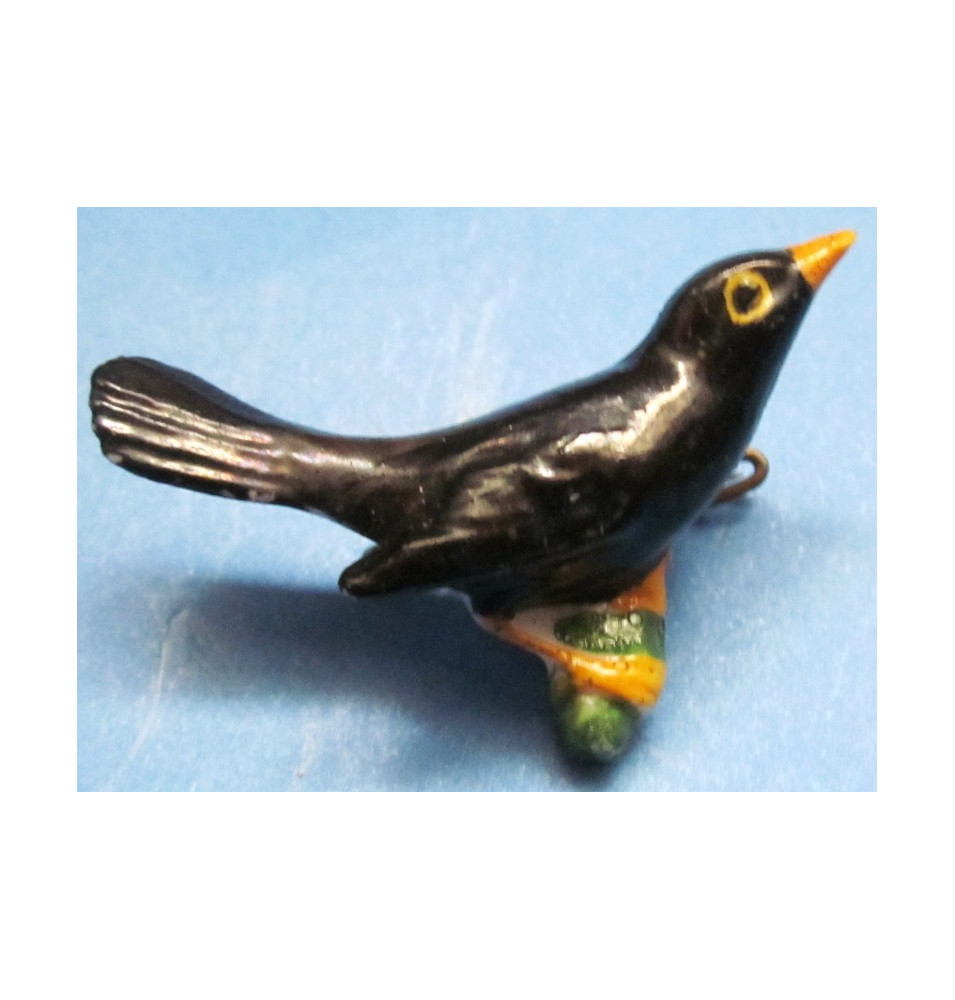 *Amsel Schwarz*