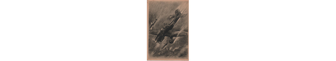 Armée de l'air - Avions armée de l'air allemande